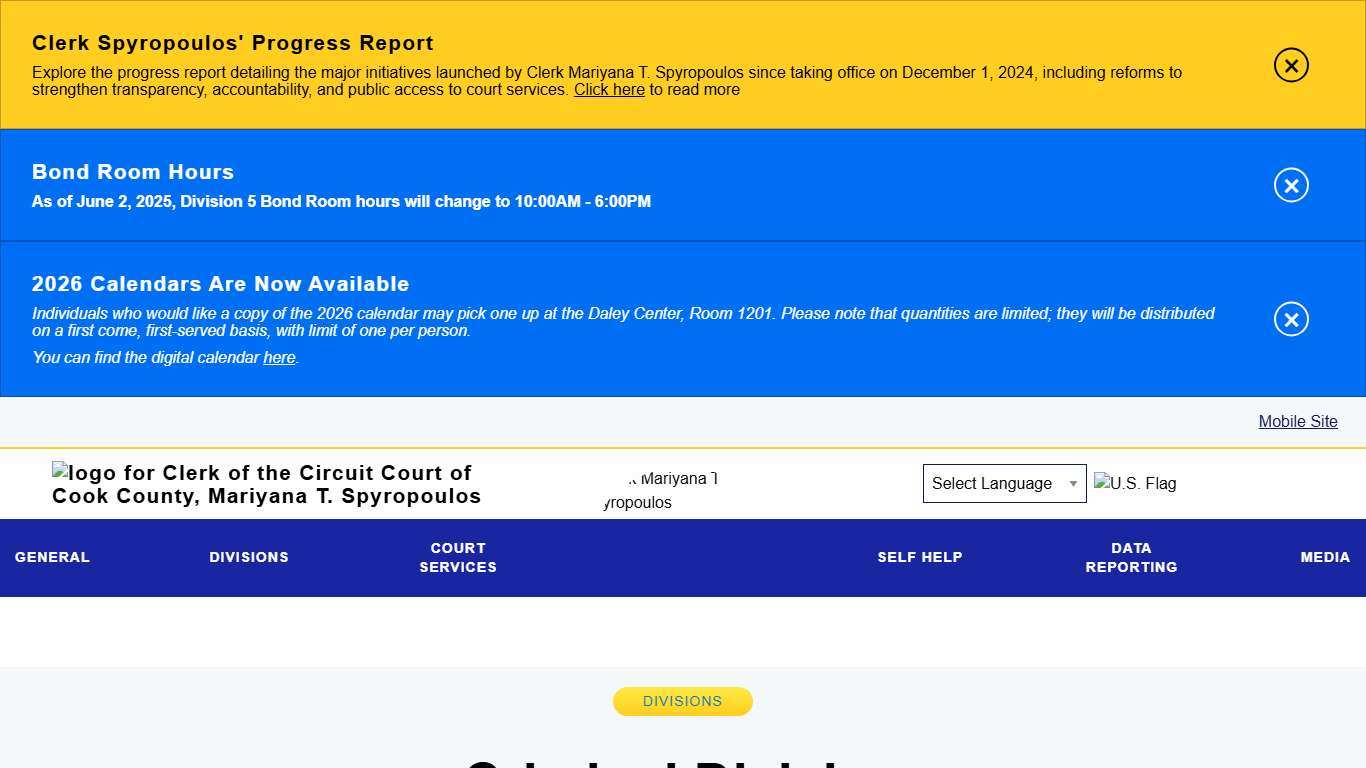 Criminal Division Clerk of the Circuit Court of Cook County